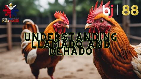 llamado meaning in tagalog|dehado in English .